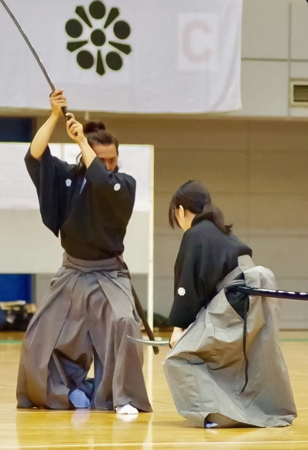 Kenjutsu