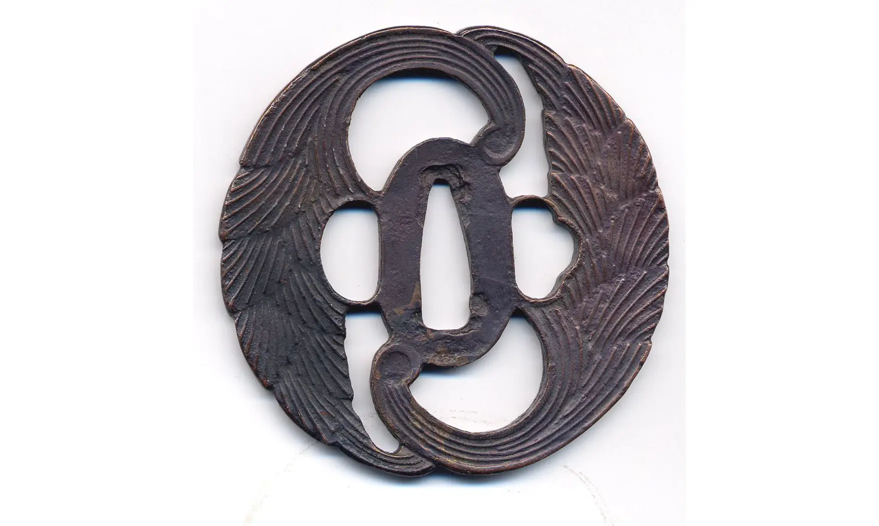 Tsuba Gingembre séché