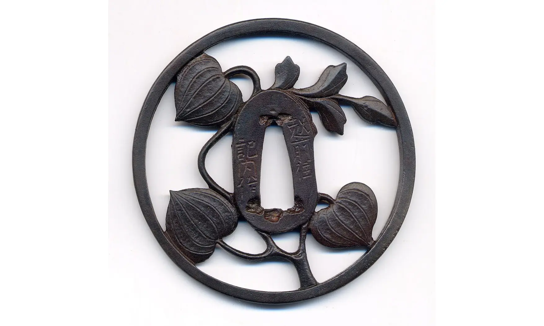 Tsuba Physalis