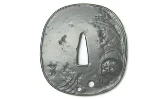 Tsuba exposé
