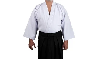 Iaidogi - veste de Iaido